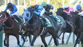 【京都2歳S】売上は29億1809万2500円で昨年から増加