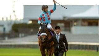 【ジャパンC】売上は272億円で大幅アップ、昨年の184億円から