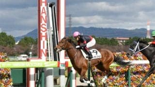 【新馬/阪神5R】ヴィクティファルスが断然の人気に応える