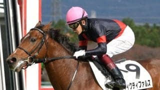 【新馬/阪神5R】福永「先々も楽しみ」ヴィクティファルスがデビューV