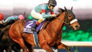 【ジャパンC回顧】アーモンドアイ　次世代の名牝系確立に期待/栗山求コラム