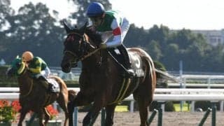 【チャレンジC出走馬決定順】レイパパレなど11頭の登録、2頭は自己条件にも登録、1頭は先週出走