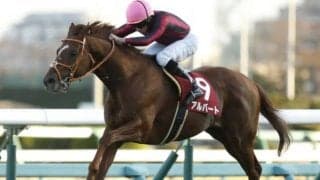 【ステイヤーズS出走馬決定順】フルゲート16頭にアルバート・メイショウテンゲンなど18頭の登録　1頭は重複登録