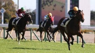 【新馬/東京5R】ジャングルキングが逃げ切り！デビュー戦快勝