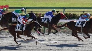 【新馬/東京6R】ビーカレイジャスがデビューV！人気に応える