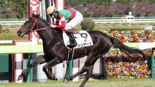 【新馬/阪神6R】ドリアードが人気に応える