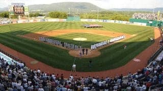 ドラフト有望株のための新リーグを創設　MLB球団へのアピールの場に