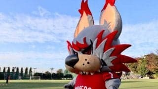 教えて！アルフ！