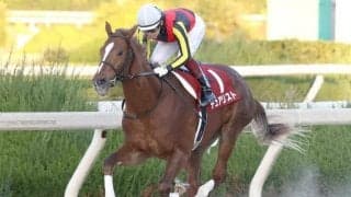 【園田・兵庫ジュニアGP結果】デュアリストが逃げ切り無傷3連勝で重賞V