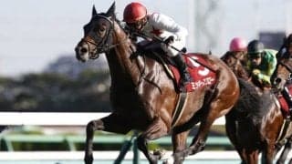 【次走】ミッキースワローは有馬記念を視野