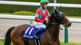【JRA】スカーレットカラーが引退、繁殖入り　昨年の府中牝馬S覇者