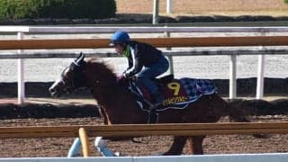 シゲルピンクルビー、阪神JF1週前追い切り速報/栗東トレセンニュース