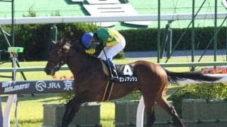 【兵庫JG】福永祐一騎手とコンビのミッキーアイル産駒デュアリストらが人気の中心