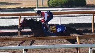 メイケイエール、阪神JF1週前追い切り速報/栗東トレセンニュース