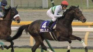 【次走】キセキは有馬記念を視野　第1回中間発表では6位