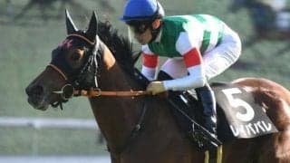 【チャレンジC展望】若くて勢いのある馬が活躍するレース