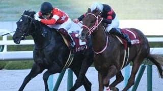 【朝日杯FS想定】デイリー杯2歳S覇者レッドベルオーブ、サウジアラビアRC覇者ステラヴェローチェなど