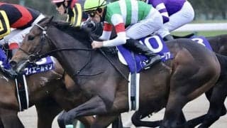 【JRA】サートゥルナーリアは有馬記念も出走見送り