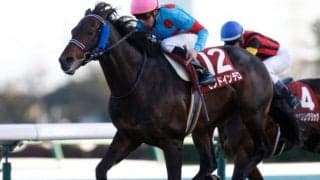 モンドインテロ引退　29戦目、昨年のステイヤーズSで重賞初制覇