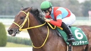 【チャンピオンズC展望】ダートの頂上決戦、好走の条件とは