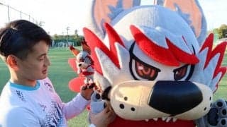 教えて！アルフのこと！