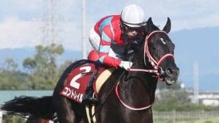 有馬記念ファン投票 第2回中間発表！順位に変動は？