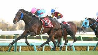 モンドインテロが競走馬登録抹消