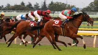 スカーレットカラーが競走馬登録抹消