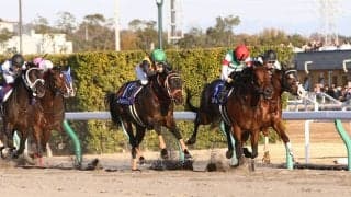 【チャンピオンズC】出走馬の調教後の馬体重