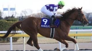 チャンピオンズＣ、穴党記者がクリソベリルの刺客に指名した３頭とは