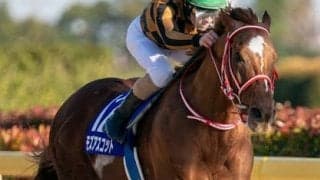 チャンピオンズＣで不気味な一頭。今年最初のＧＩ覇者に一発はある