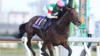 【チャンピオンズC予想】クリソベリルの国内無敗継続に期待