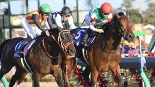 【本日の注目ポイント】秋のダート王決定戦・チャンピオンズC