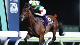 【チャンピオンズC予想】 内枠有利の傾向はホントに信じていい!? 敗因を分析すれば「真に選ぶべき馬」が見えてくる!?/JRAレース展望