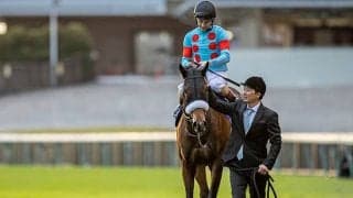 【JRA】アーモンドアイ引退式を中山競馬場で開催、12月19日の最終レース終了後