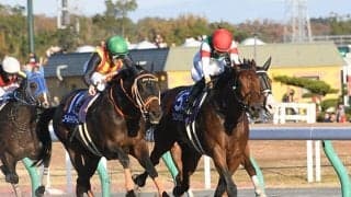 【チャンピオンズC予想】 ダート競馬こそ投資に最適!? 南関の伝説的場立ちがダートの頂上決戦を分析！/JRAレース展望