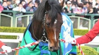 【次走】マイルCS2着インディチャンプは阪神Cへ、引き続き福永祐一騎手とコンビ