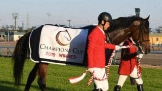 【チャンピオンズC前日オッズ】クリソベリルが1.5倍で1番人気