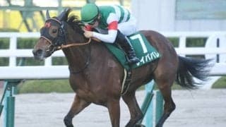 【チャレンジC結果】レイパパレが無傷の5連勝で重賞初制覇！