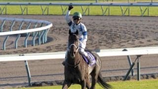 【チャンピオンズC】チュウワウィザードが勝利！クリソベリルは敗れる