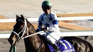 【チャンピオンズC】戸崎「馬の力で勝たせて戴いた」チュウワウィザードがV