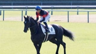 【中京7R】横山武「成長ぶりに驚いてます」アルディエンテが休養明けをV