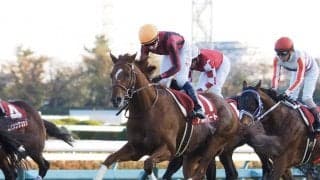 アルバートが競走馬登録抹消
