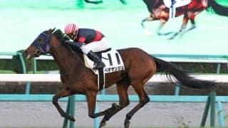【中山12R】ベデザンジュが3連勝