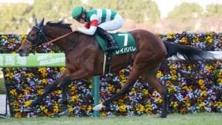 【チャレンジC】レイパパレが無傷の5連勝！