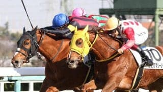 【新馬/阪神5R】エピファネイア産駒 エイシンピクセルがデビューV