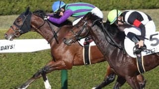 【新馬/阪神6R】アドマイヤマックス産駒 イナズマテーラーがデビューV