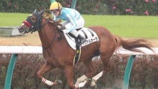 【新馬/中山6R】8番人気 アステルカーラがデビューV