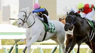 近年では稀に見る大激戦。阪神JFの行方も占う「２歳牝馬ランキング」
