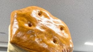 佐々木朗も藤原も学んできたパイの実“秘密”　ロッテドラ1鈴木「深い過程が」